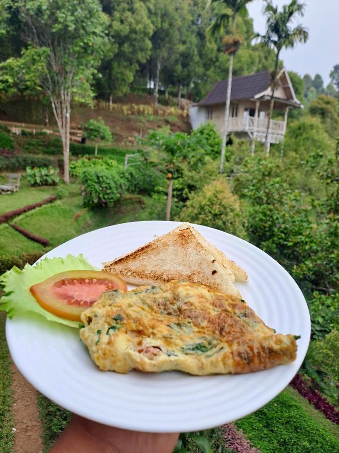 Garden Terrace Bali Bed & Breakfast Gobleg  Екстериор снимка