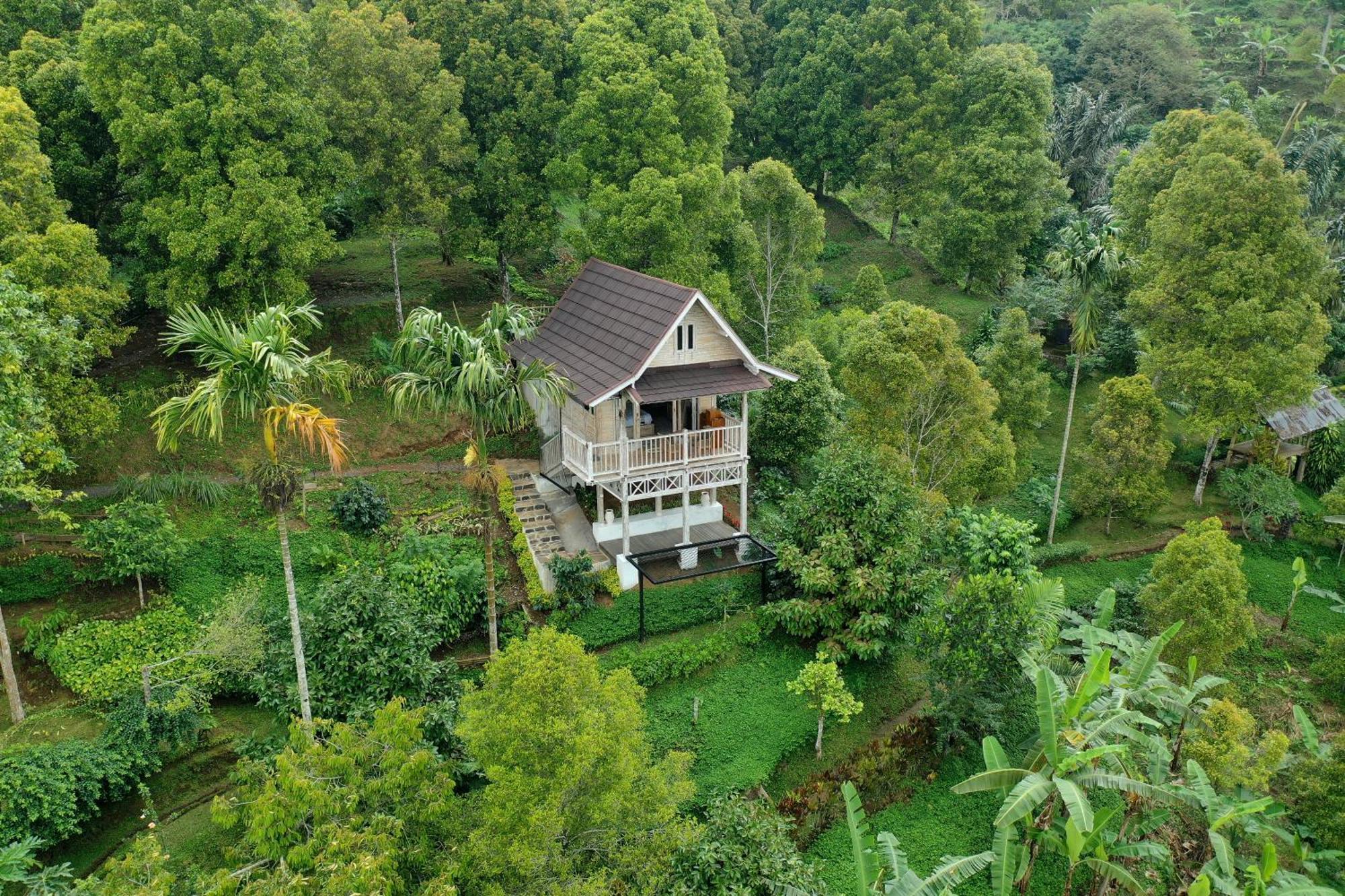 Garden Terrace Bali Bed & Breakfast Gobleg  Екстериор снимка