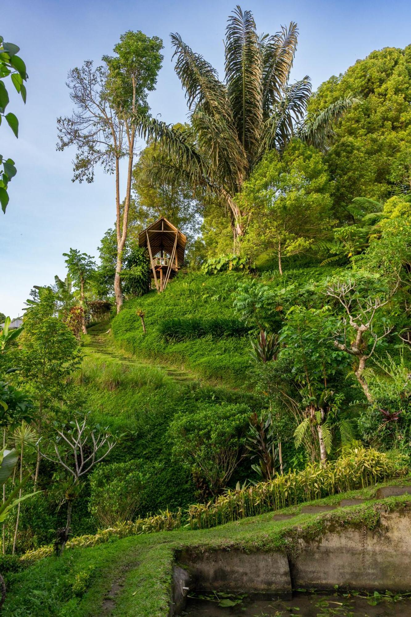 Garden Terrace Bali Bed & Breakfast Gobleg  Екстериор снимка