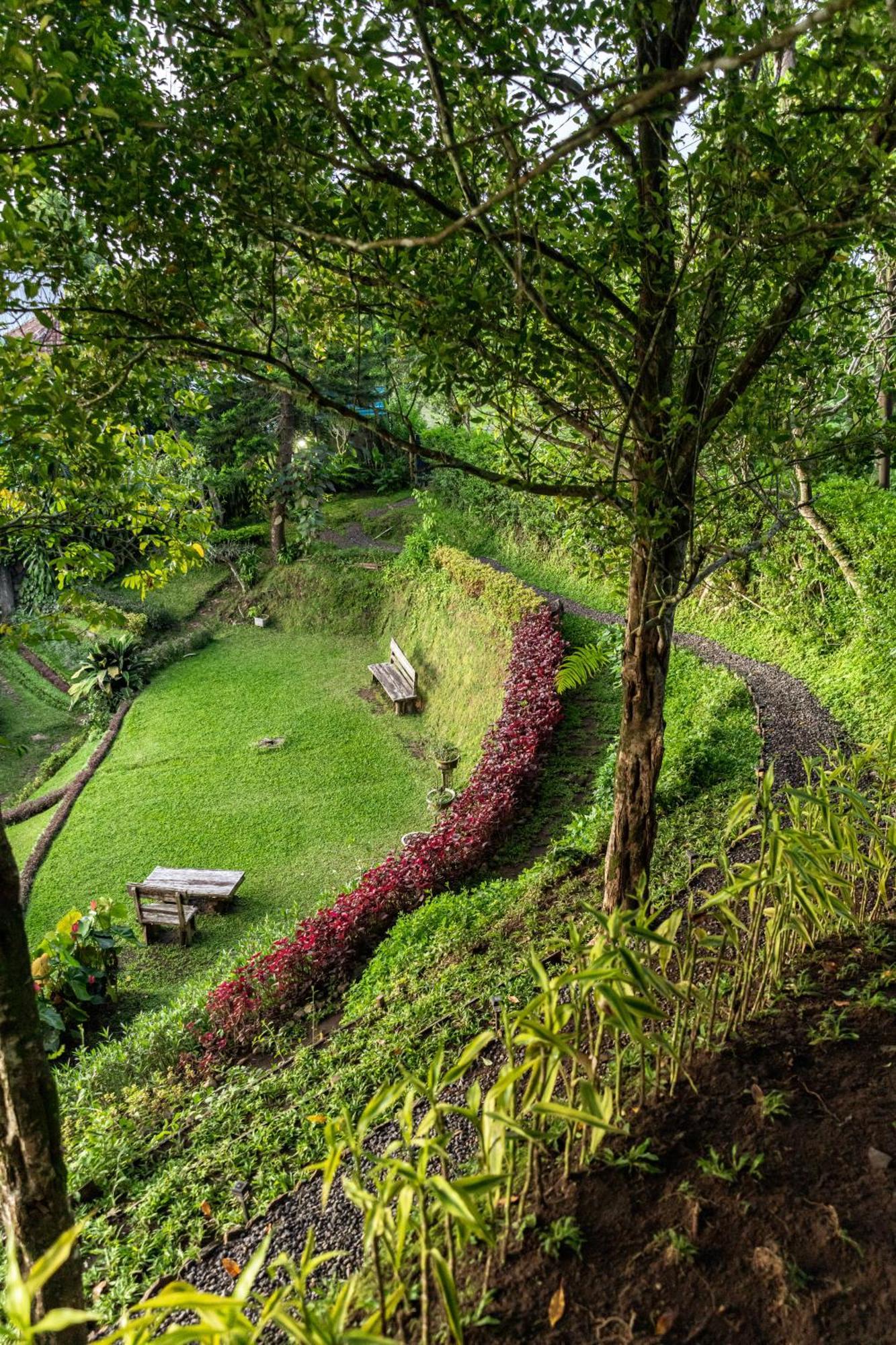 Garden Terrace Bali Bed & Breakfast Gobleg  Екстериор снимка