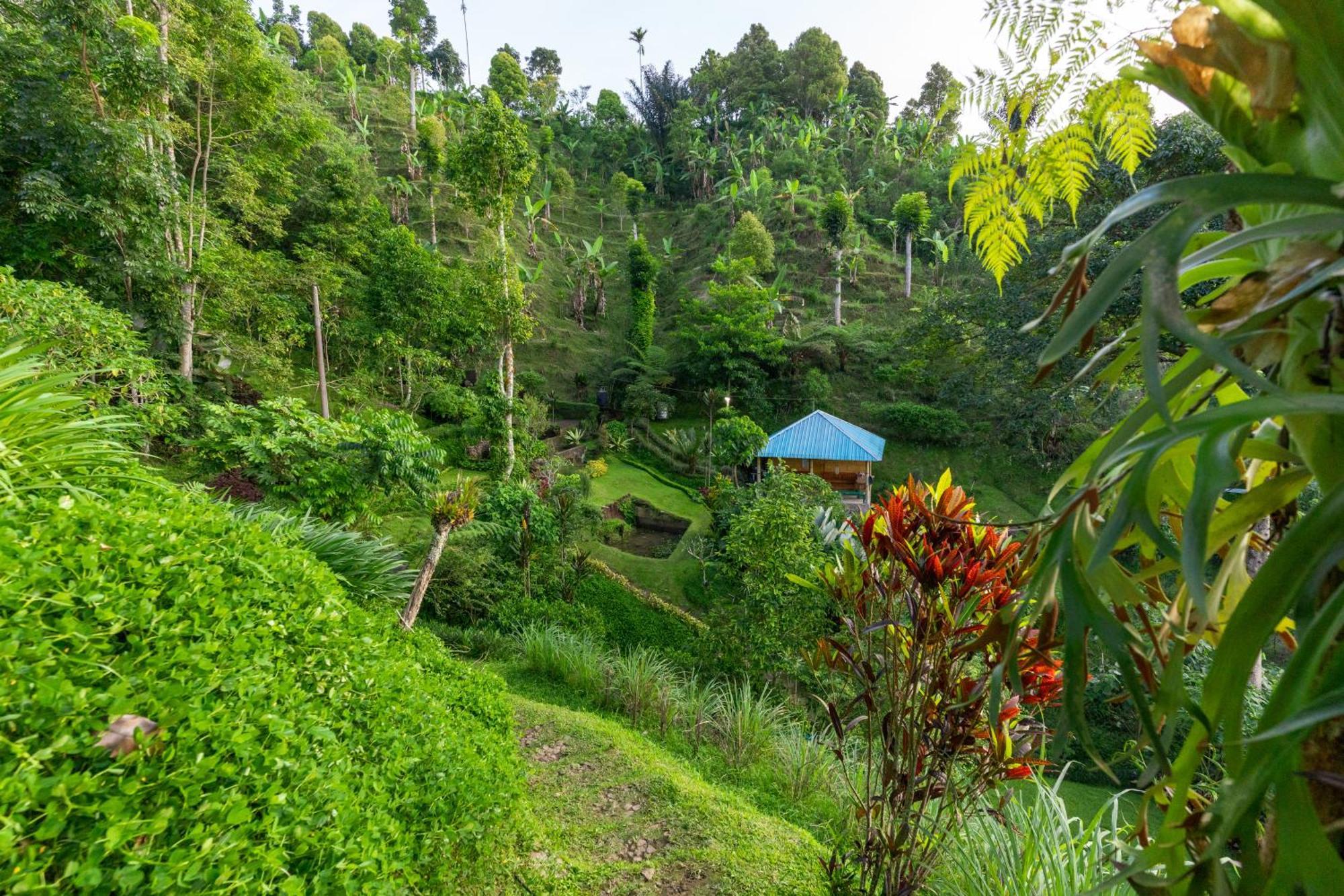 Garden Terrace Bali Bed & Breakfast Gobleg  Екстериор снимка