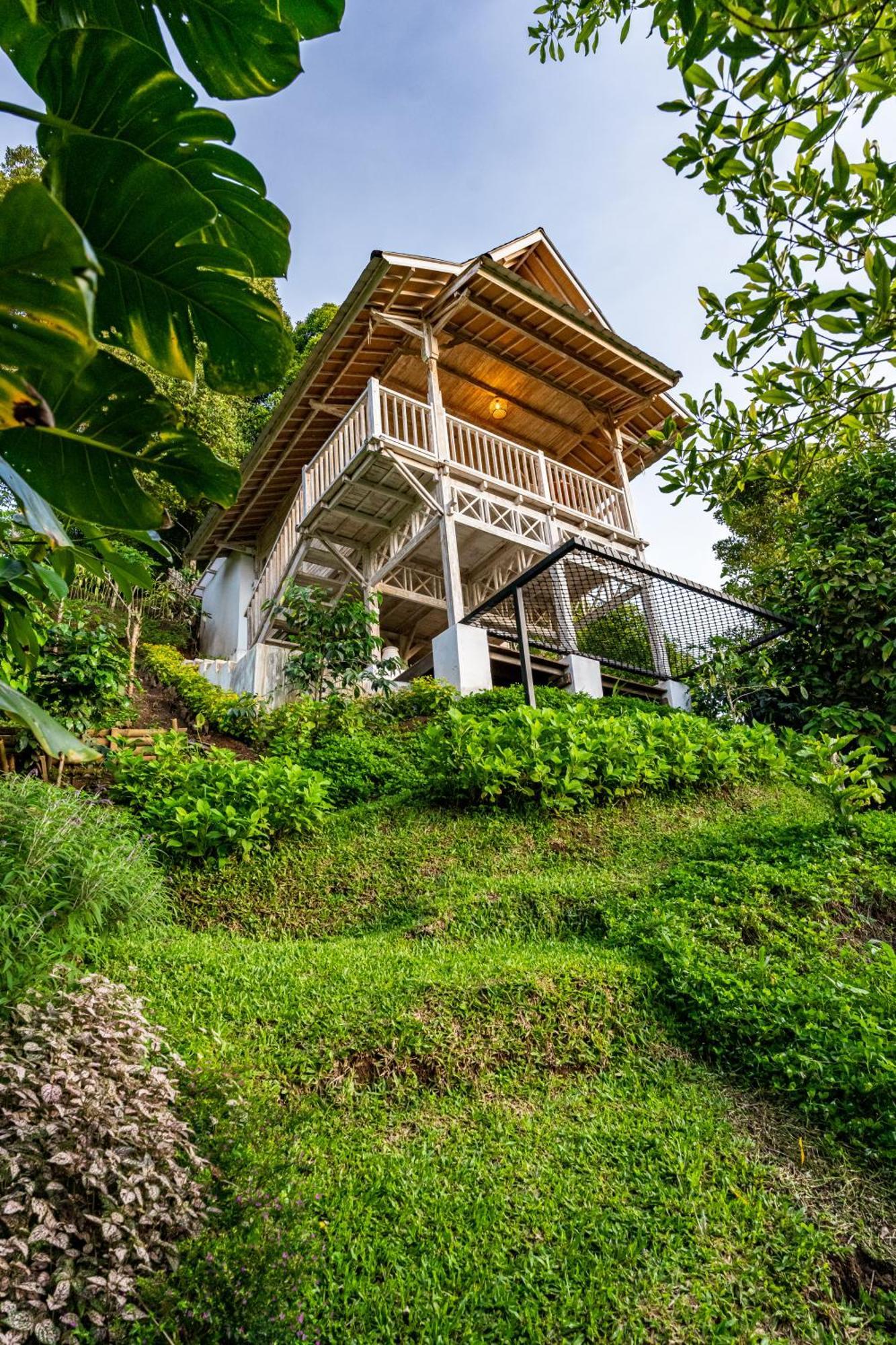Garden Terrace Bali Bed & Breakfast Gobleg  Екстериор снимка
