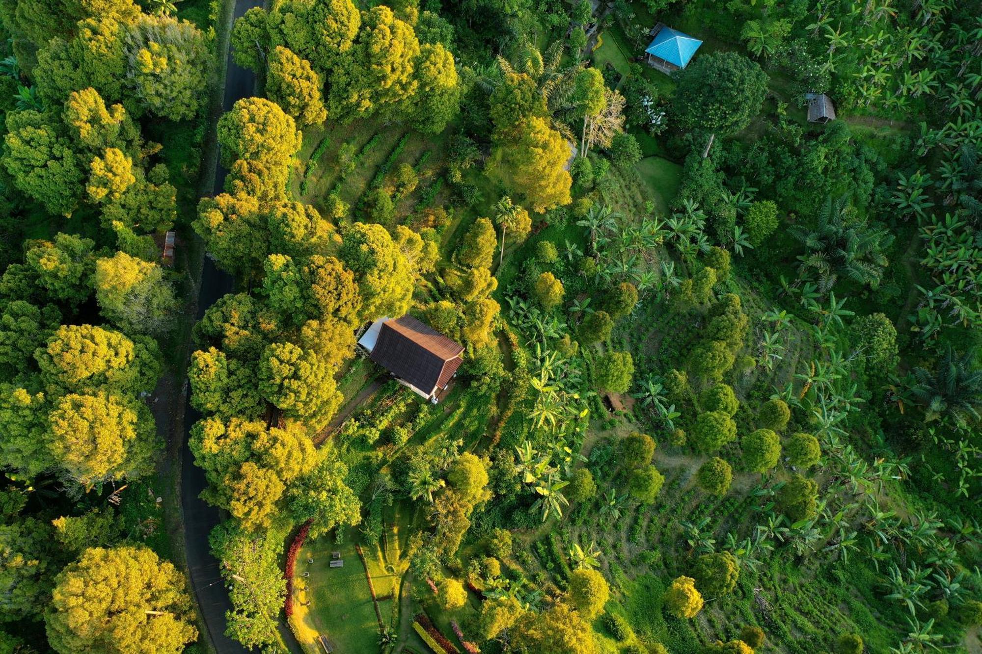 Garden Terrace Bali Bed & Breakfast Gobleg  Екстериор снимка